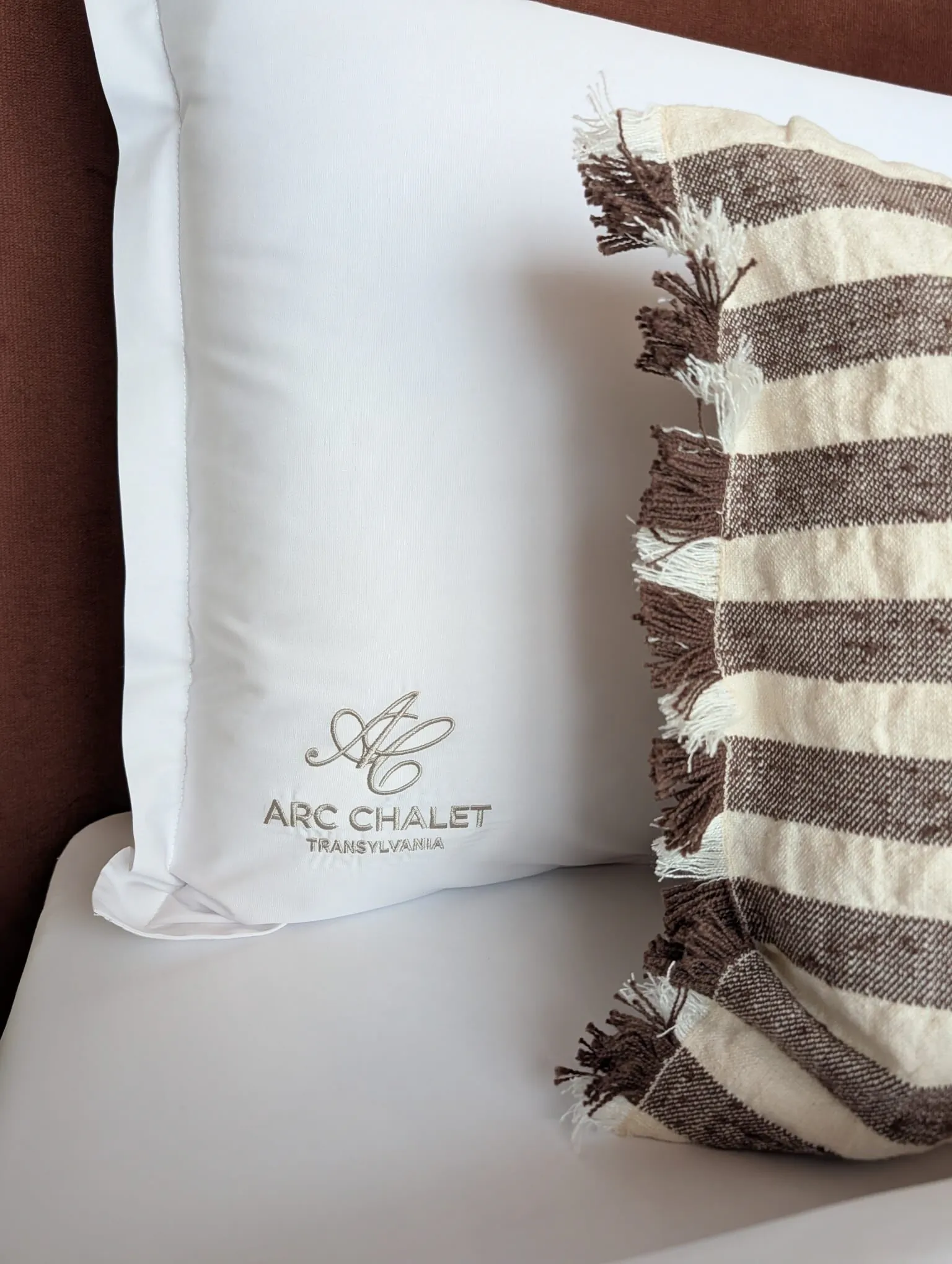 Arc Chalet Transylvania piscina interioara