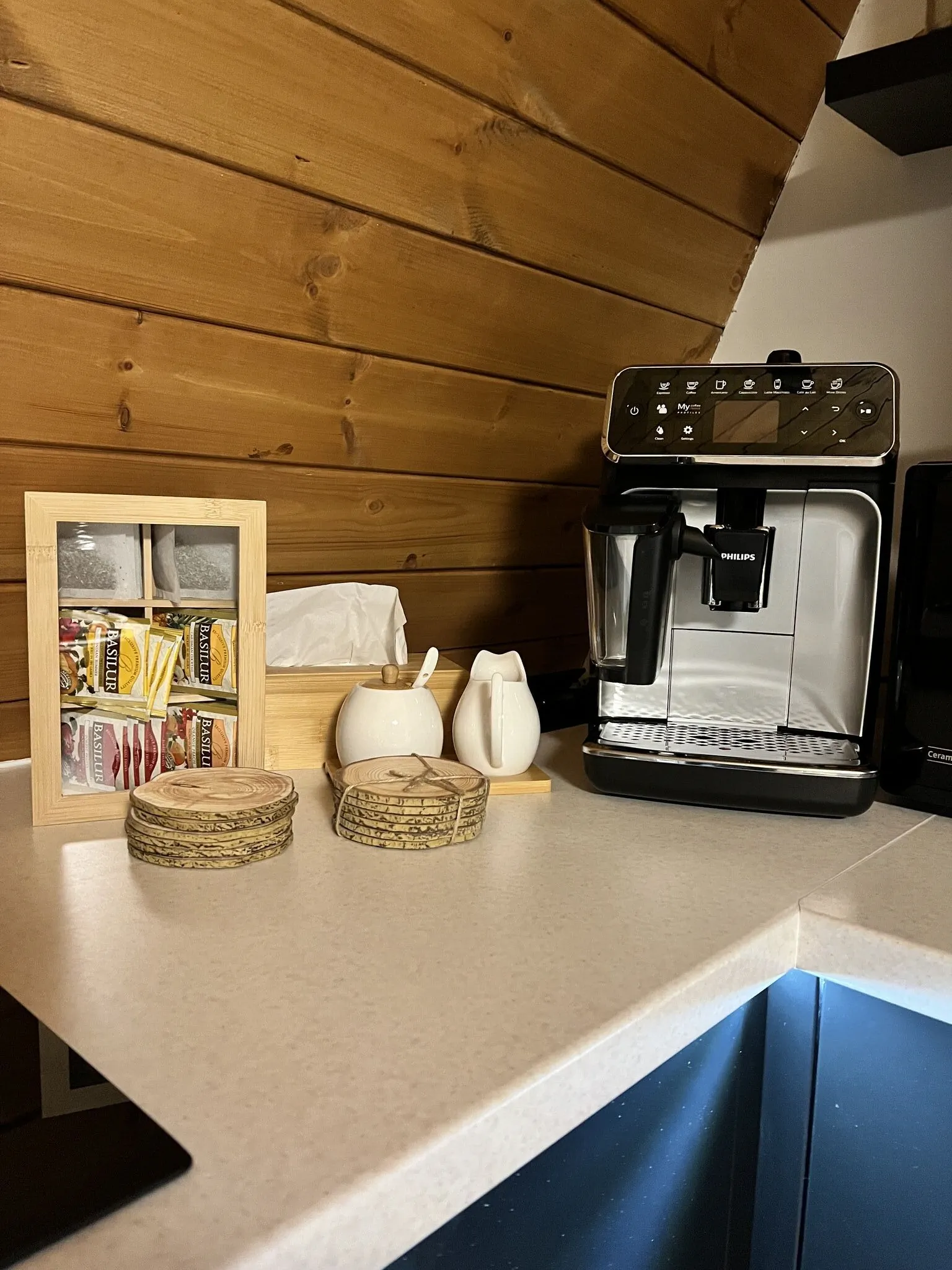 Arc Chalet Transylvania jacuzzi exterior